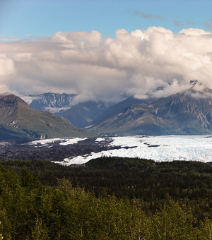 在线考核平台的免费电话短信轰炸机