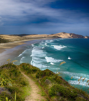 手机号测压下载